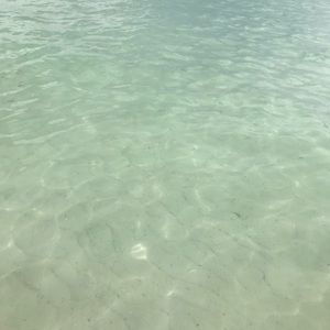 Meet your Posher, Brooklynn